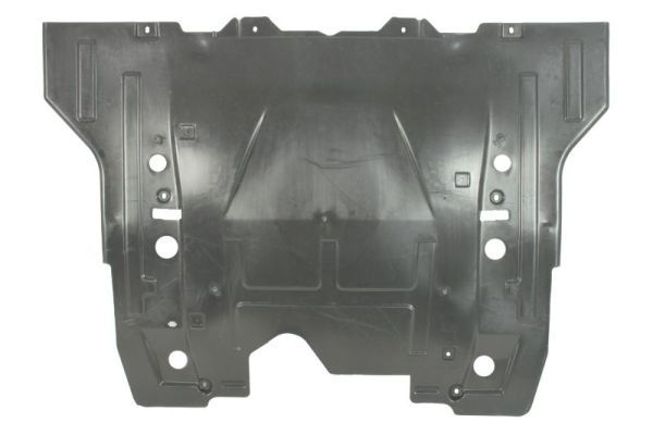 BLIC 6601-05-0000053Q Engine Cover