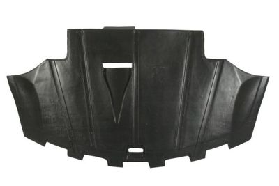 Engine Cover BLIC 6601-02-0012860P