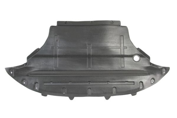 BLIC 6601-02-0035860P Engine Cover