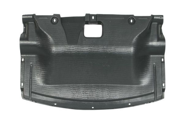 BLIC 6601-02-0061861P Engine Cover