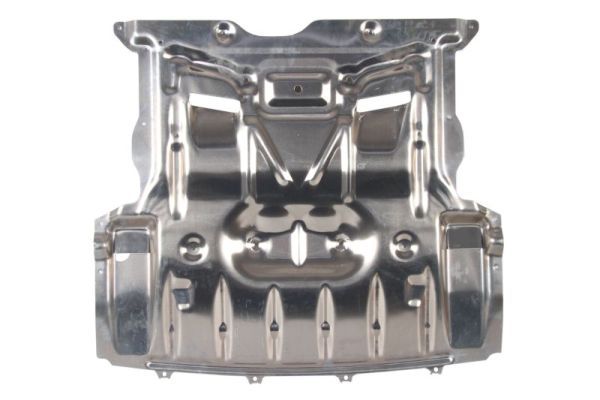 BLIC 6601-02-0067860AP Engine Guard/Skid Plate