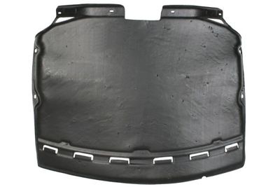 Engine Cover BLIC 6601-02-0076860P