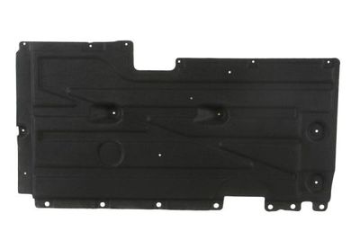Engine Cover BLIC 6601-02-0093983P