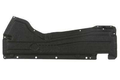 Engine Cover BLIC 6601-02-0096981P