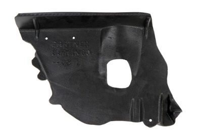 Engine Cover BLIC 6601-02-0550871P