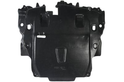 Engine Cover BLIC 6601-02-1199860P