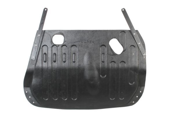 BLIC 6601-02-2008861P Engine Cover