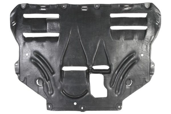 BLIC 6601-02-2579860P Engine Cover