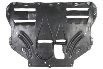 Engine Cover BLIC 6601-02-2579860P