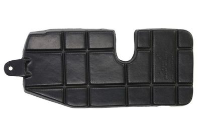 Engine Cover BLIC 6601-02-3155862P