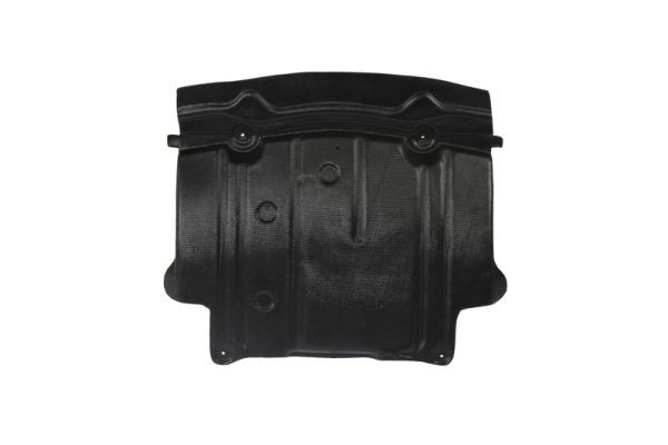 BLIC 6601-02-3511861P Engine Cover