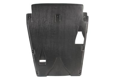 Engine Cover BLIC 6601-02-3541861P