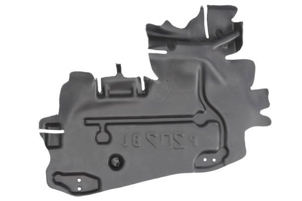 BLIC 6601-02-5508871P Engine Cover