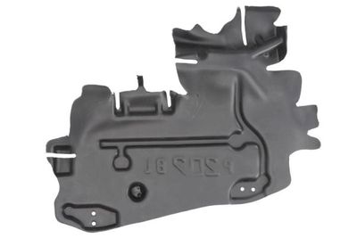 Engine Cover BLIC 6601-02-5508871P