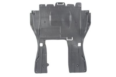 Engine Cover BLIC 6601-02-5537861P