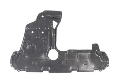 Engine Cover BLIC 6601-02-8179860P