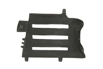 Engine Cover BLIC 6601-02-9008878P