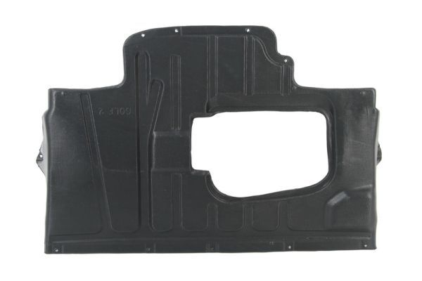 BLIC 6601-02-9521860P Engine Cover