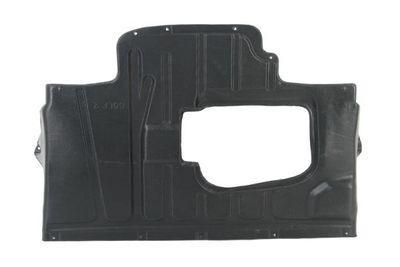 Engine Cover BLIC 6601-02-9521860P