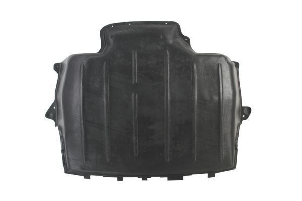 BLIC 6601-02-9522860P Engine Cover