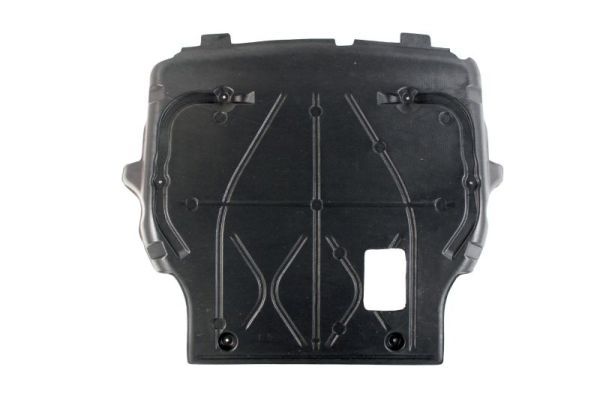 BLIC 6601-02-9568860P Engine Cover