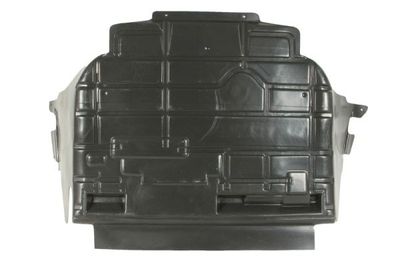Engine Cover BLIC 6601-05-0000002P