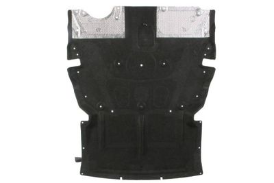 Engine Cover BLIC 6601-05-0000033P