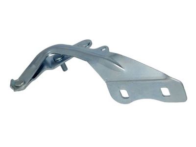 Hinge, bonnet BLIC 6802-00-2533451P