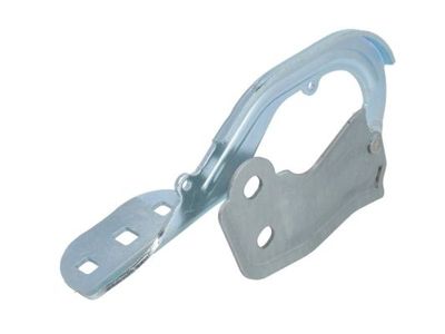 Hinge, bonnet BLIC 6802-00-2579454P