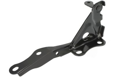 Hinge, bonnet BLIC 6802-00-8179453P
