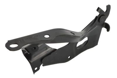 Hinge, bonnet BLIC 6802-00-8195452P