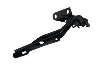 Hinge, bonnet BLIC 6802-00-0935451P