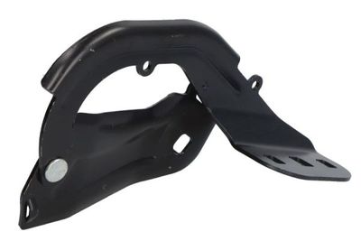 Hinge, bonnet BLIC 6802-00-2579452P