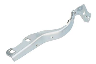 Hinge, bonnet BLIC 6802-00-2596451P