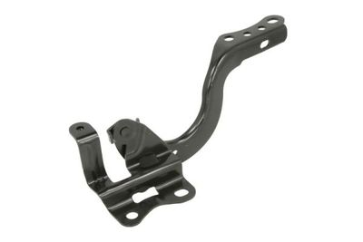 Hinge, bonnet BLIC 6802-00-8119452P