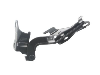 Hinge, bonnet BLIC 6802-00-8161452P