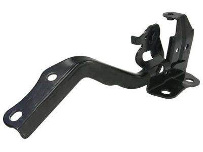 Hinge, bonnet BLIC 6802-00-8199451P