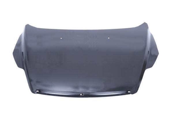 BLIC 6803-00-2533281Q Bonnet