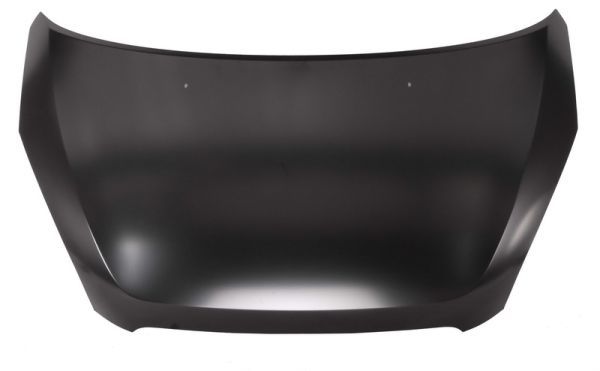 BLIC 6803-00-6832280P Bonnet