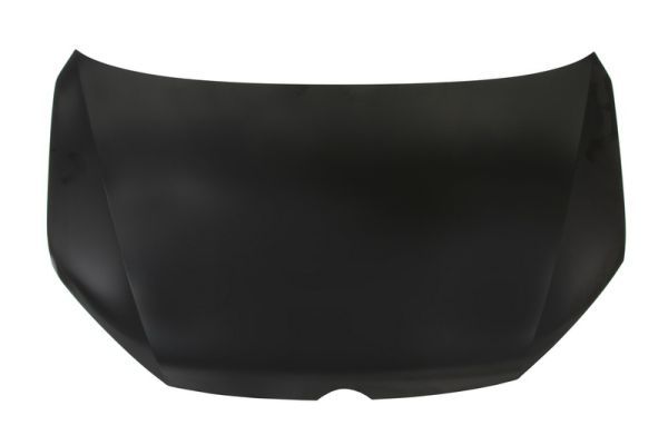 BLIC 6803-00-9591280P Bonnet