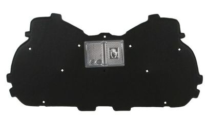 Engine Compartment Noise Insulation BLIC 6804-00-0035290P