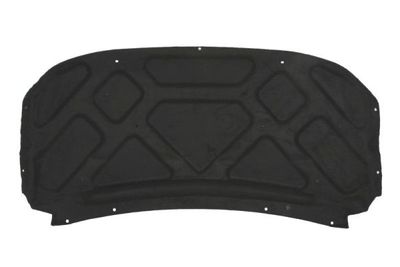 Engine Compartment Noise Insulation BLIC 6804-00-2555290P
