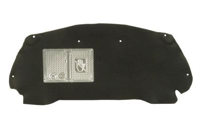 Engine Compartment Noise Insulation BLIC 6804-00-5516290P