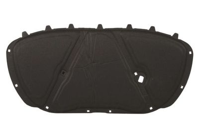 Engine Compartment Noise Insulation BLIC 6804-00-9507290P