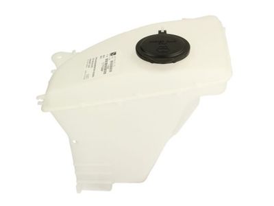 Washer Fluid Reservoir, window cleaning BLIC 6905-19-030480P