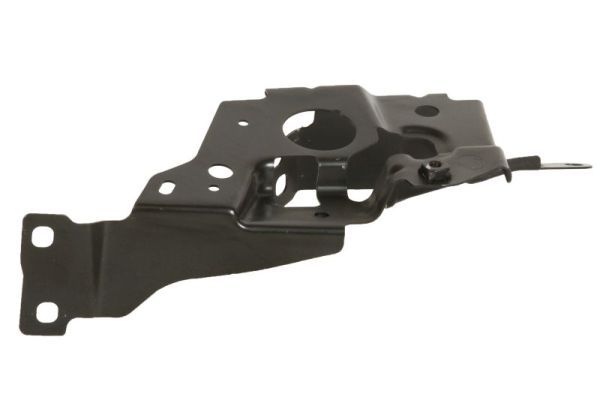 BLIC 7802-03-0064381P Holder, wing