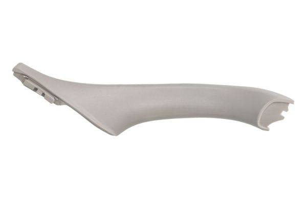 BLIC 8800-00-0067204SP Interior Door Panel