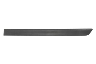Trim/Protection Strip, wing BLIC 9999-43-008443P