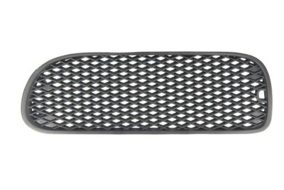Ventilation Grilles, bumper BLIC 9999-43-003941P