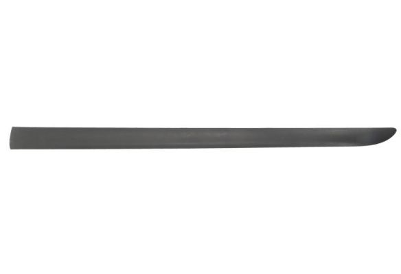 BLIC 9999-43-008441P Trim/Protection Strip, wing